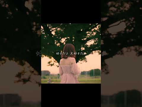 感情を沢山込めて「コイスルオトメ / いきものがかり」Cover【こはならむ】