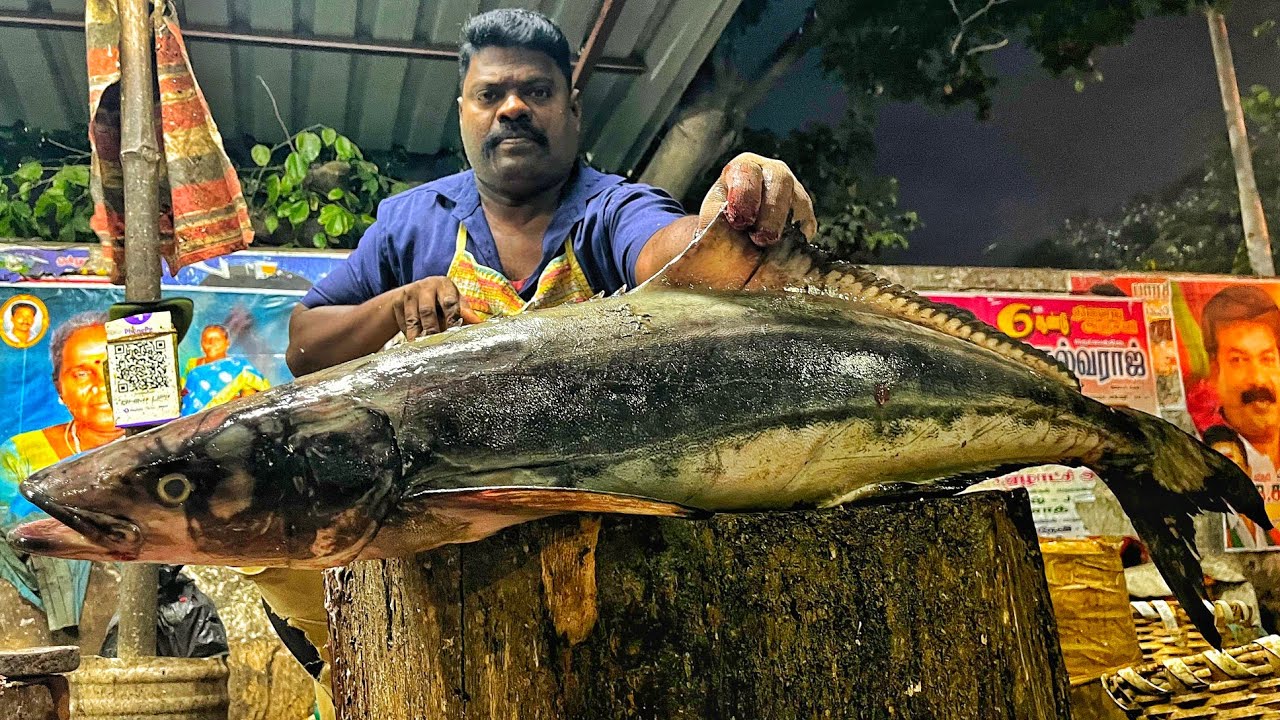 KASIMEDU 🔥 SPEED SELVAM | BIG SIZE COBIA FISH CUTTING VIDEO | 4K VIDEO | KM FISH CUTTING |INKASIMEDU