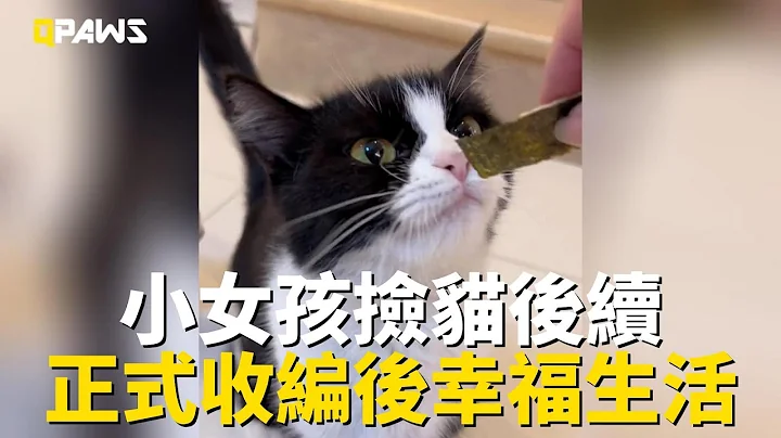 女孩放學路上撿到流浪貓，確認沒有主人後，正式收編，帶牠去醫院做檢查，原來是個文靜的小女孩，帶回家後太乖了，幸福生活 - 天天要聞