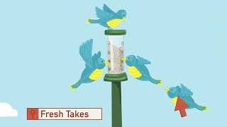 Animated Explainer Videos by Urban Wild Studio