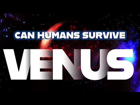 Can humans survive on Venus?