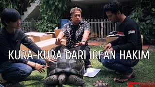 Irfan Hakim Gave me 6 Tortoise! But...