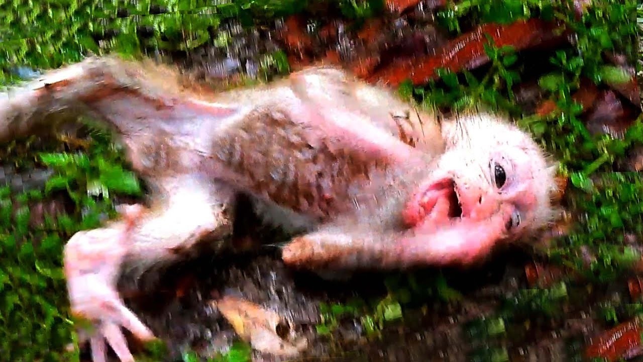 Help Please !! God!! R!!!!PPPPPP!! This is sad for Libby family.