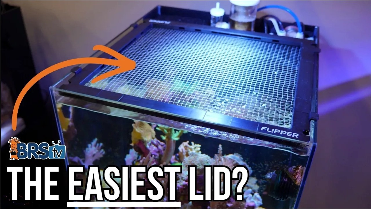 Protect Your Reef Tank's Fish With Flipper's Invisi-Lid!