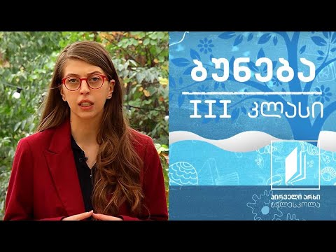 ბუნება, III კლასი - მცენარეთა თავდაცვა #ტელესკოლა