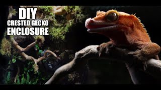 DIY crested gecko terrarium enclosure setup