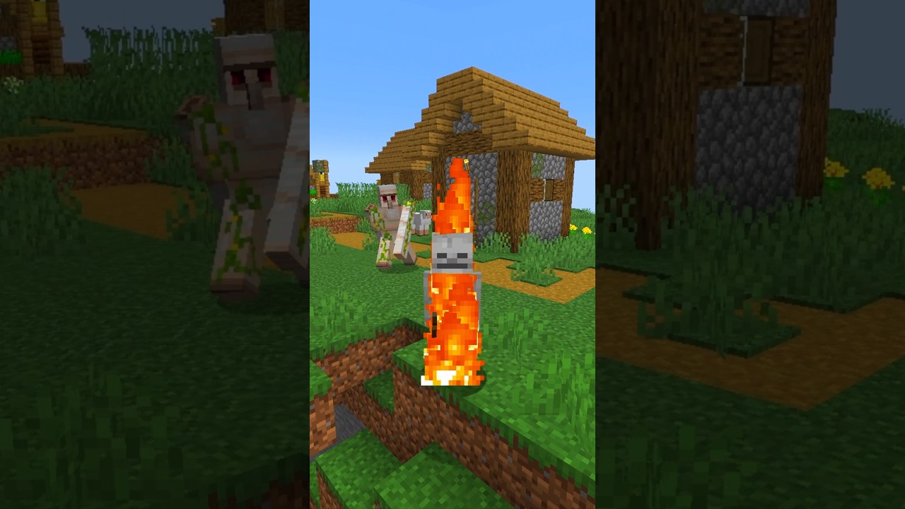 PUEDES CONVERTIRTE EN CUALQUIER MOB EN Minecraft