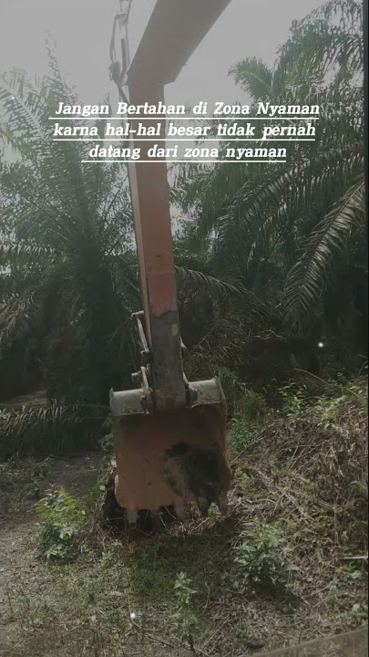 Alat berat numbang sawit ll story wa #shorts