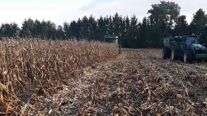 Corn Harvest for Richard Wierenga