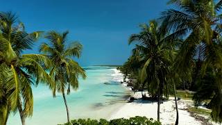 Upbeat Bossa Nova Jazz & Ocean Wave Sounds - Smooth Jazz Music For Improve Your Mood