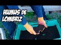 Nunca Más Tirarás Verdura a la Basura | Humus de Lombriz 💩 | La Huerta de Ivan