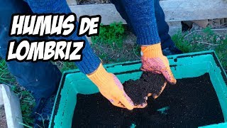 Nunca Más Tirarás Verdura a la Basura | Humus de Lombriz  | La Huerta de Ivan