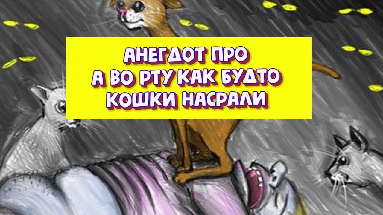 Будто кошка песня. Как выглядит моя кошка. Физкультминутка кошка для дошкольников. Будто кошка песня. Liranov.
