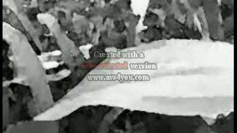 Cannibal Execution aus Wedel - DER KULT