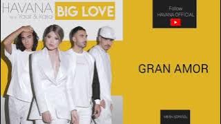 HAVANA - Big Love (Subtitulada en Español) #havanaofficial #yaar #pittleffer #kaiia