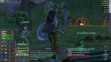Everquest Project 1999 Let