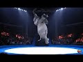 Epic Animal Trampoline Flip Challenge | High-Flying Tricks with a Civet, Elephant, and More | Ai