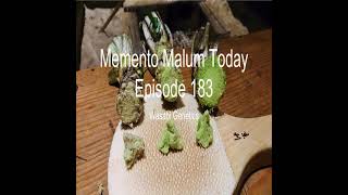 Momento Malum Today Episode 183 Wasabi Genetics
