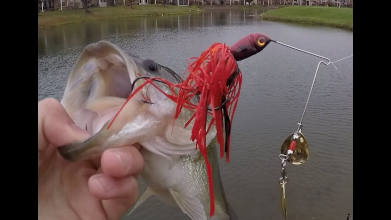 october bass lures