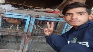 Punjabi Chuchi Achcha Laga Like Aur Subscribe Karte Hue Video Share Card