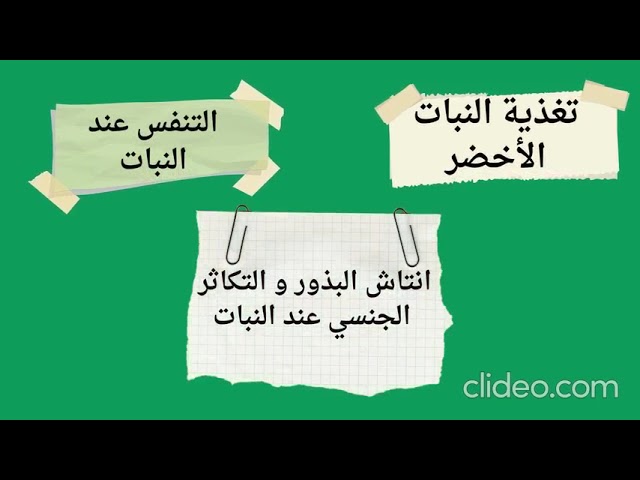 لمحة عن دروس العلوم الطبيعية للسنة الأولى متوسط