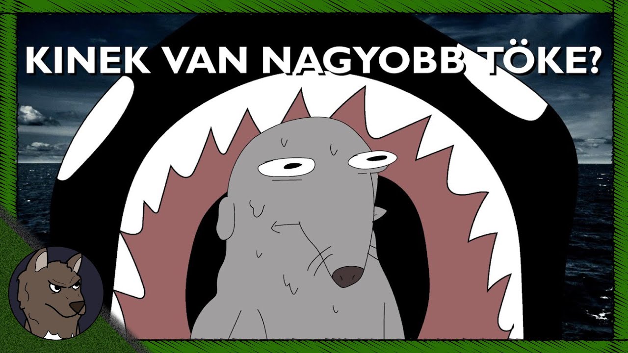 És a gyilkos bálnákat ki gyilkolja? 🐳 | R&T #12