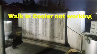 Coldzone Walk In Cooler Service Call