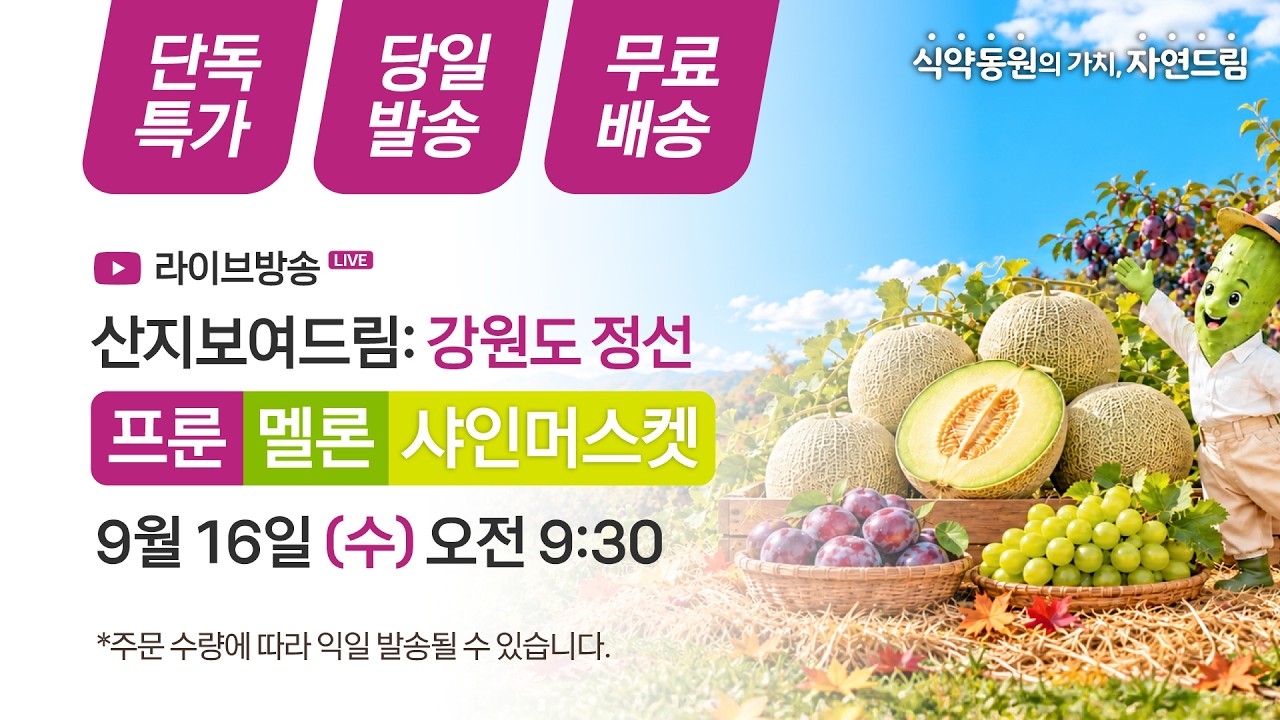 9월 16일 산지보여드림 라이브방송