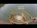 10 Species Fishing Challenge