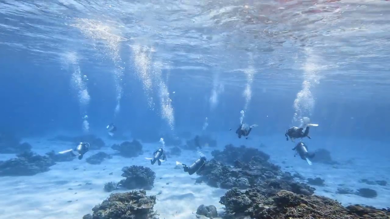 ダイバーになったら見てみたい青と白の海の世界♪／大阪 スキューバ