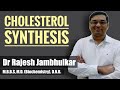 Cholesterol metabolism- Synthesis of Cholesterol