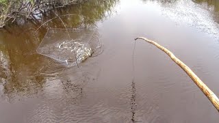 Стоило дать им по пауку, и я остался вне конкуренции... Рыбалка на паук-подъёмник 2022.