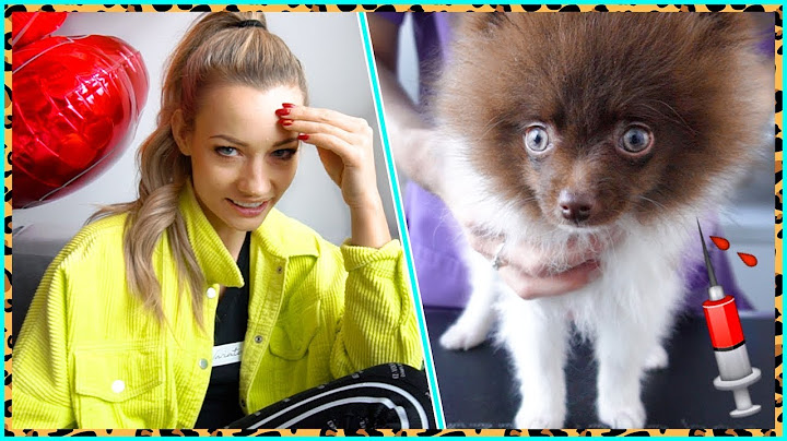 Musieliśmy iść z PIESKIEM do WETERYNARZA ! 💉.vlog