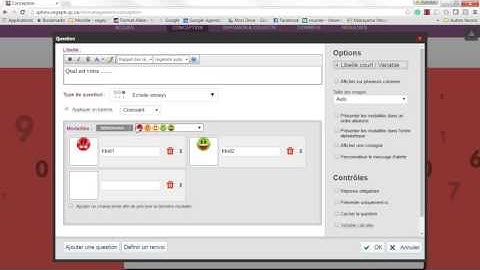 Sphinx - question conditionnelle à une autre réponse