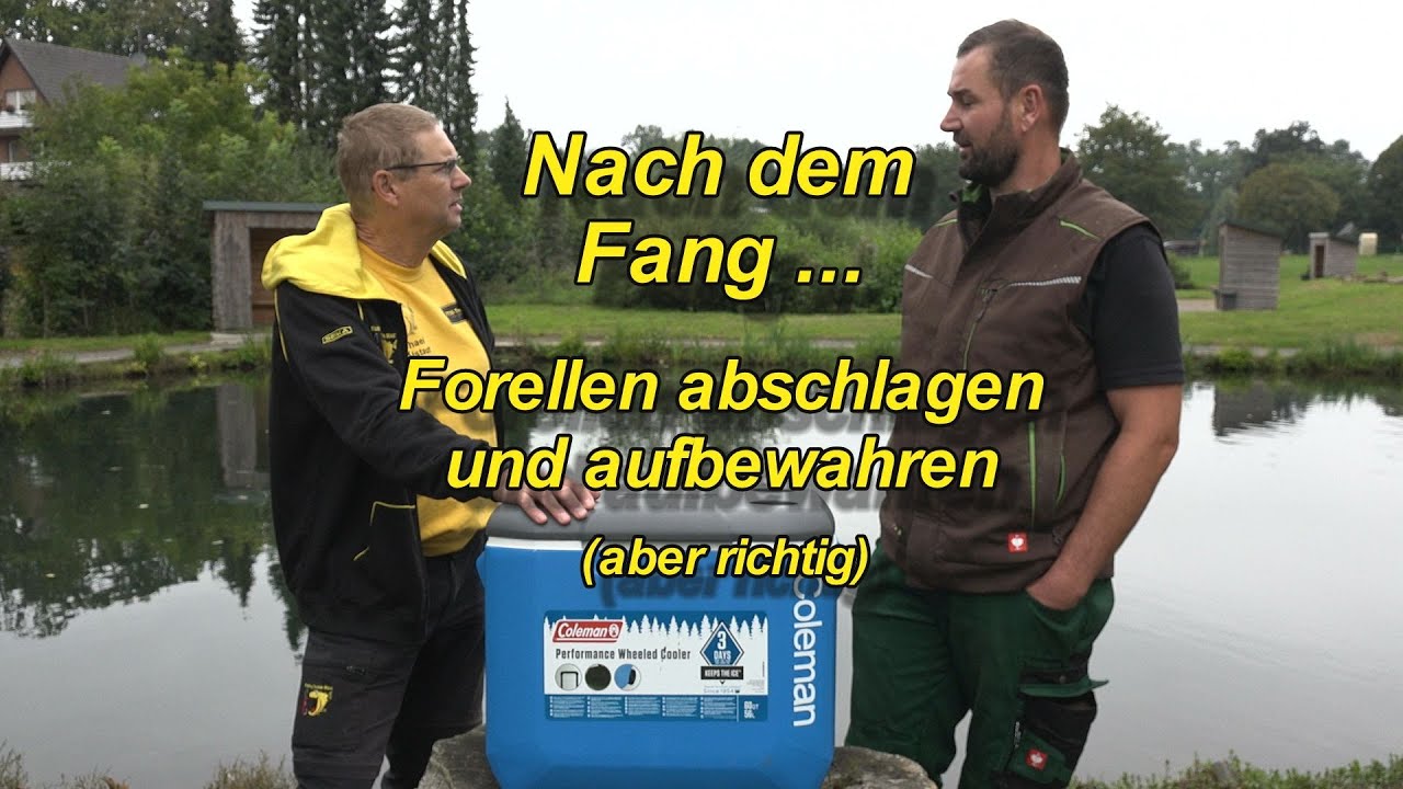 Nach dem Fang - Abschlagen und Aufbewahren (aber richtig!)