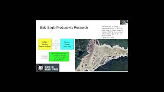 EAGLE EYE VIEW: Geospatial Analysis with Google Earth Engine