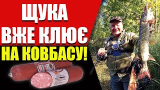 видео: Просте ЩУЧЕ правило, яке не залишить без улову восени. Crazy Fish Contact 802MT картинка: Просте ЩУЧЕ правило, яке не залишить без улову восени. Crazy Fish Contact 802MT