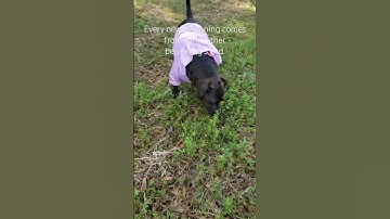 Every new beginning comes from some other beginning