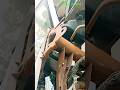 Maruti Ertiga 2016 model complete dashboard aise kho#trending https://www.youtube.com/@Ranjeetmotor1