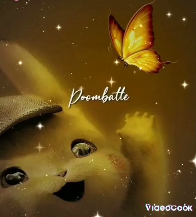 kochu poombatte song 🦋🦋
