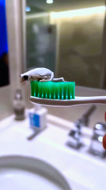 Surprise in Toothpaste 😱🤣🥰🤪#shorts #viral #shortvideo #trendingshorts