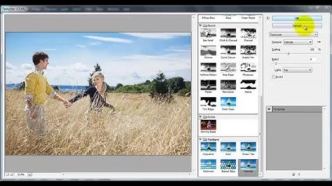 How to Use Filters in Photoshop Elements