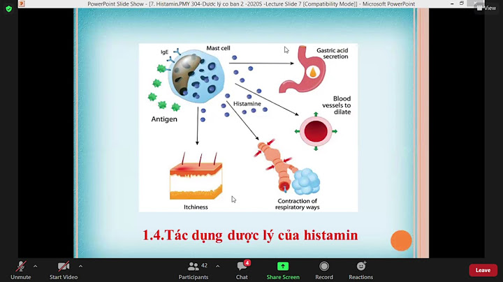 Histamin được tiết ra bởi tế bào nào năm 2024