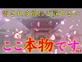 ※本当にお金が必要な方は見て下さい⚠️もし見逃したら2度とありません。見た後から急激に変わります🌈✨柳原蛭子神社⛩️ ヒルコノオオカミの恩恵✨【遠隔参拝】