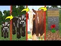 KURBAN'IN HAYATI! - Minecraft