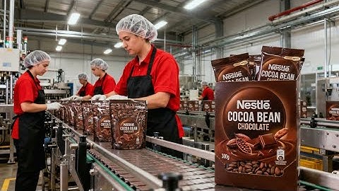 Inside the World of Chocolate Making | Modern Cocoa Processing Explained