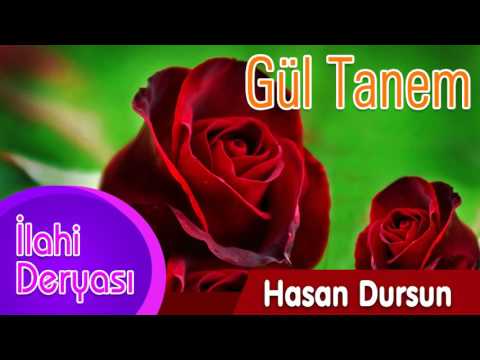 Hasan Dursun - Gül Tanem