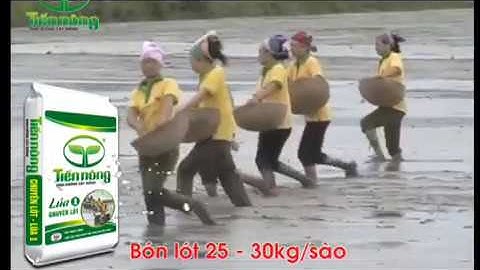 Tiến Nông Lúa 1 (chuyên lót) + Lúa 2 (chuyên thúc)