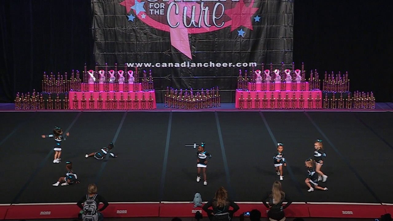 Cheer Sport Pocket Sharks  Tiny A 1