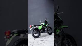 CUSTOM KAWASAKI TR